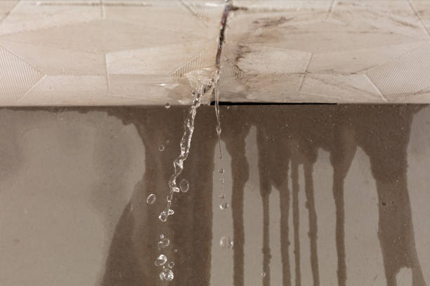 Professional Burst Pipe Cleanup technician working in Buckley, MI